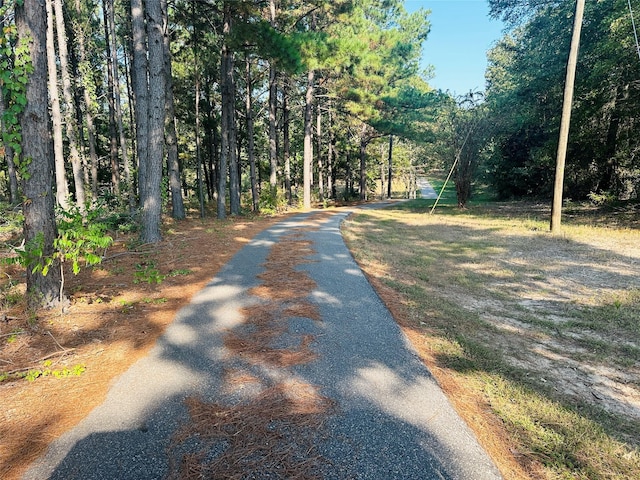637 County Road 4420, Winnsboro, TX 75494 - view of road featuring a wooded view