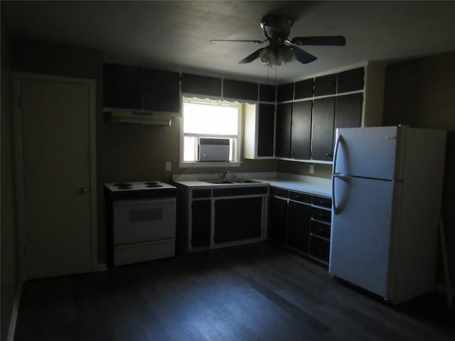 344 Castle Dr, Pottsboro, TX 75076 - kitchen featuring white appliances, a sink, under cabinet range hood, ceiling fan, and dark wood-style floors