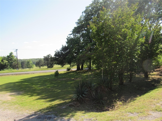 344 Castle Dr, Pottsboro, TX 75076 - view of home's community featuring a yard
