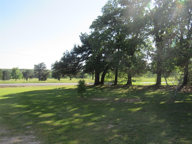 344 Castle Dr, Pottsboro, TX 75076 - view of grassy yard