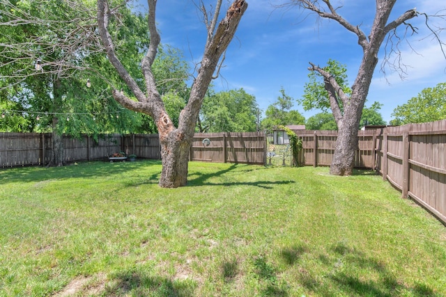 836 Silver Creek Rd, Azle, TX 76020 - view of yard