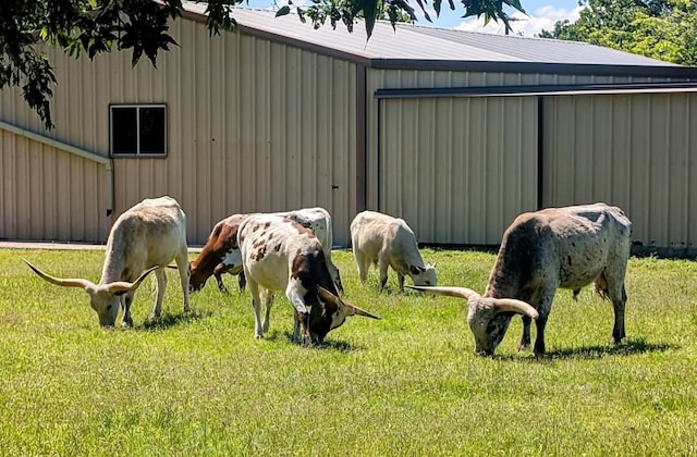 836 Silver Creek Rd, Azle, TX 76020 - view of stable