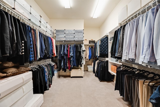 782 Sagewood Dr, Frisco, TX 75036 - walk in closet with carpet