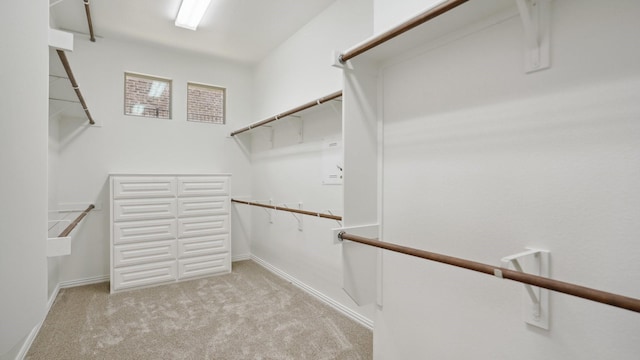 walk in closet with light colored carpet