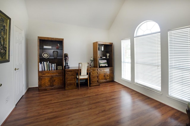 5315 Summit Knoll Trl, Sachse, TX 75048 - office featuring wood finished floors and high vaulted ceiling