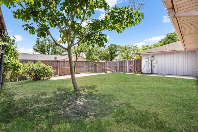 7102 Timberline Dr, Rowlett, TX 75089 - view of yard