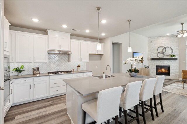 2415 Preakness Pl, Celina, TX 75009 - kitchen featuring a sink, light wood-style flooring, backsplash, under cabinet range hood, and white cabinetry