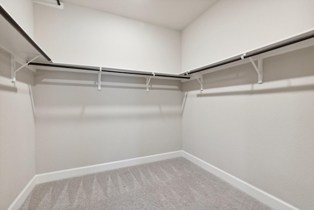 2415 Preakness Pl, Celina, TX 75009 - walk in closet featuring carpet floors