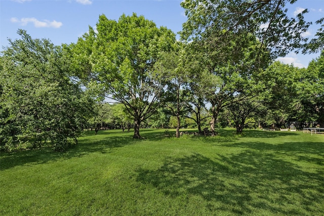 410 W Estelle Ln, Lucas, TX 75002 - view of green lawn