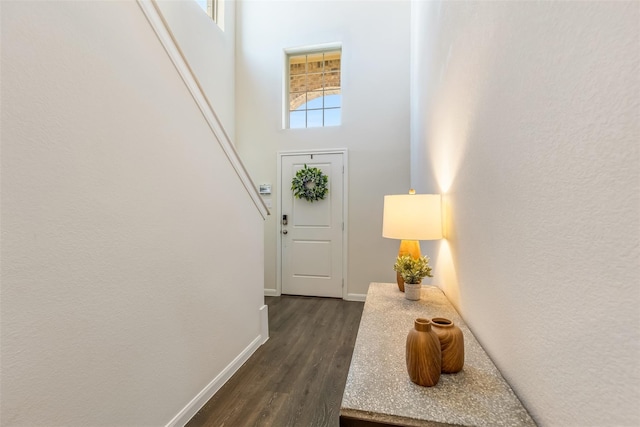 3932 Oak Creek Cir, Denison, TX 75020 - doorway to outside with dark wood finished floors, baseboards, and a towering ceiling