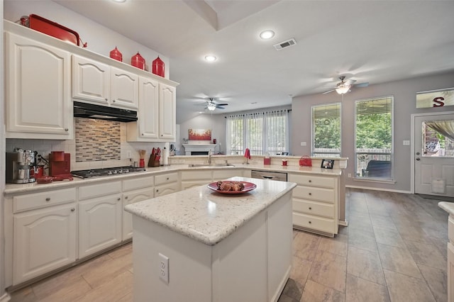 2813 Calico Rock Dr, Fort Worth, TX 76131 - kitchen with a ceiling fan, appliances with stainless steel finishes, a peninsula, plenty of natural light, and recessed lighting