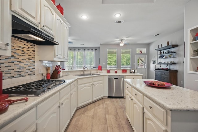 2813 Calico Rock Dr, Fort Worth, TX 76131 - kitchen featuring appliances with stainless steel finishes, a sink, under cabinet range hood, ceiling fan, and decorative backsplash