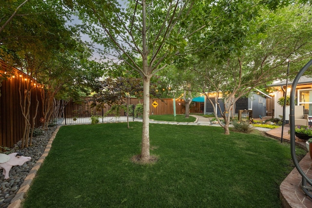 8538 Grenadier Dr, Dallas, TX 75238 - view of yard