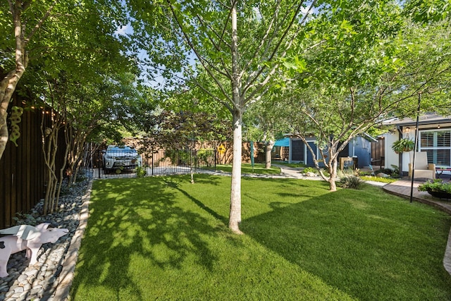 8538 Grenadier Dr, Dallas, TX 75238 - view of yard