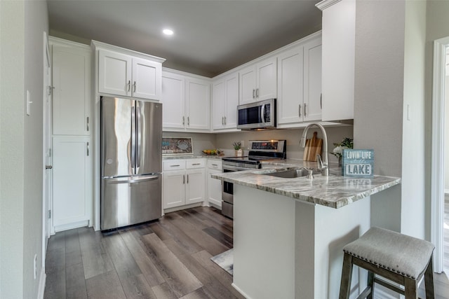 2164 Tanglewood Blvd Unit D 210, Pottsboro, TX 75076 - kitchen featuring stainless steel appliances, a sink, wood finished floors, a peninsula, and white cabinetry