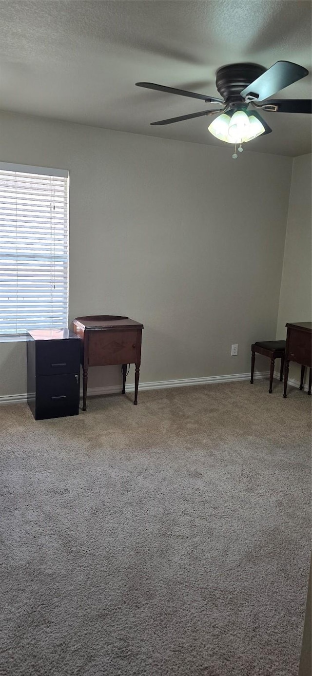 1431 Puerto Lago Dr, Little Elm, TX 75068 - empty room featuring ceiling fan, carpet flooring, baseboards, and a textured ceiling