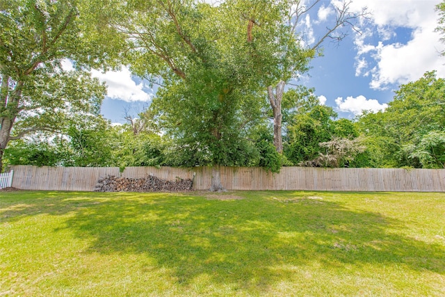 8811 Pheasant Dr, Chandler, TX 75758 - view of yard