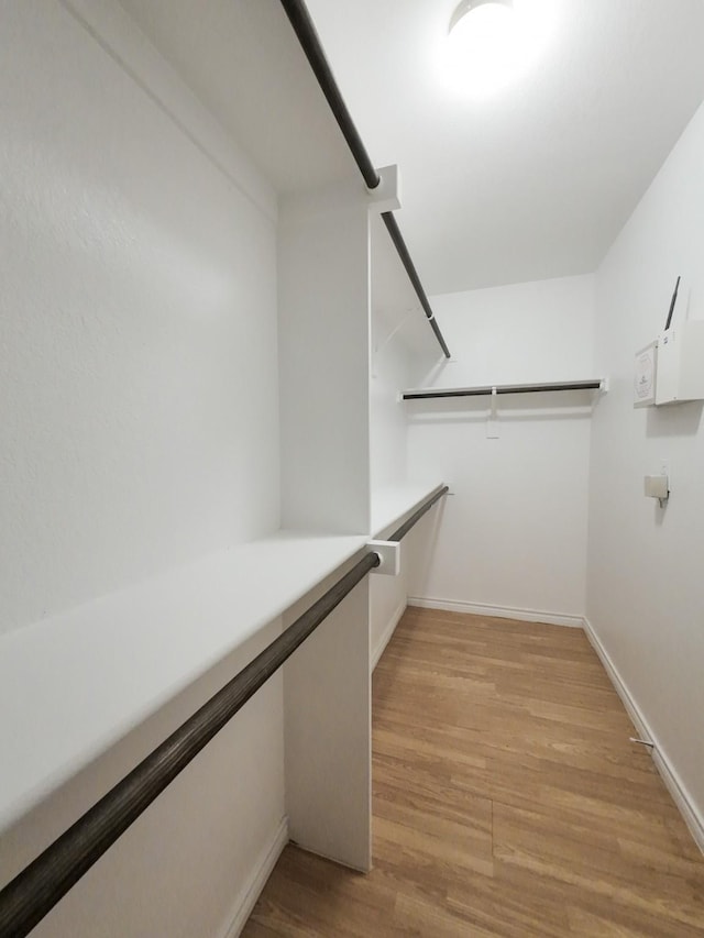 204 Spring Hollow Dr, Saginaw, TX 76131 - walk in closet with light wood finished floors