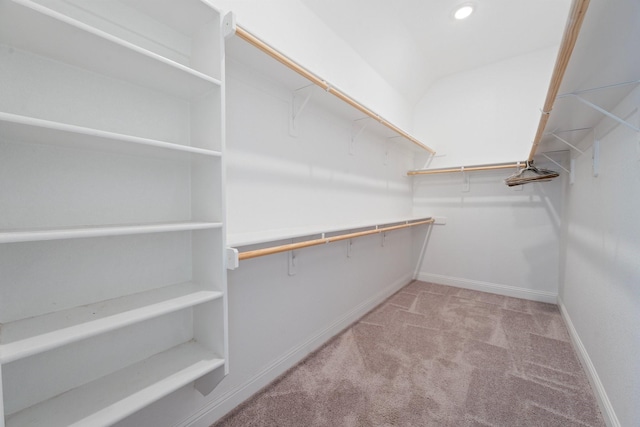 1038 Mickelson Dr, Granbury, TX 76048 - spacious closet with carpet floors