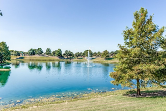 3075 Willow Grove Blvd Unit 1105, Mckinney, TX 75070 - water view
