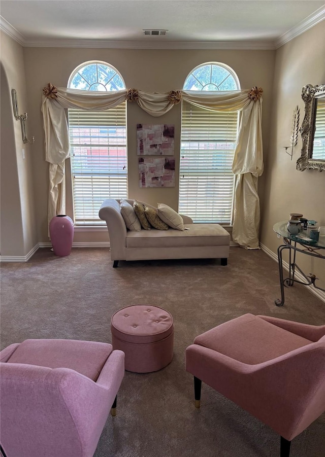 1435 Delta Dr, Cedar Hill, TX 75104 - living area featuring carpet, baseboards, healthy amount of natural light, and ornamental molding