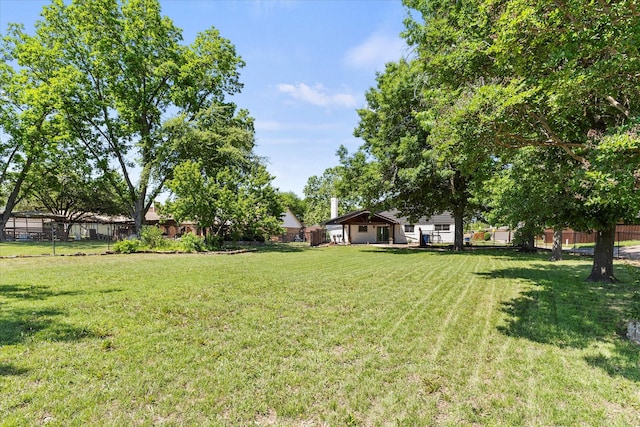 11230 Cotillion Dr, Dallas, TX 75228 - view of yard