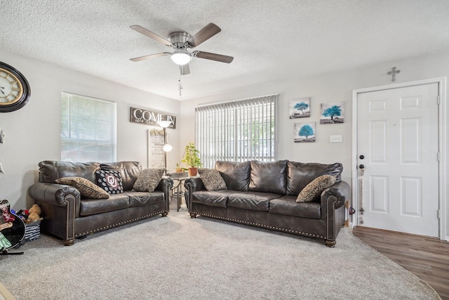 816 Red Oak Ct, Azle, TX 76020 - living room with a ceiling fan, a textured ceiling, and wood finished floors