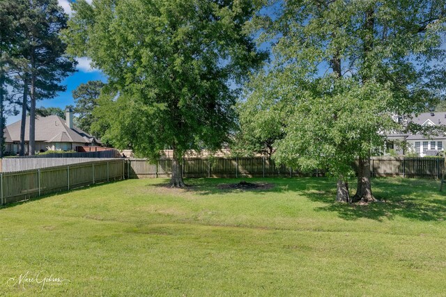 2228 Grapevine Ln, Haughton, LA 71037 - view of yard