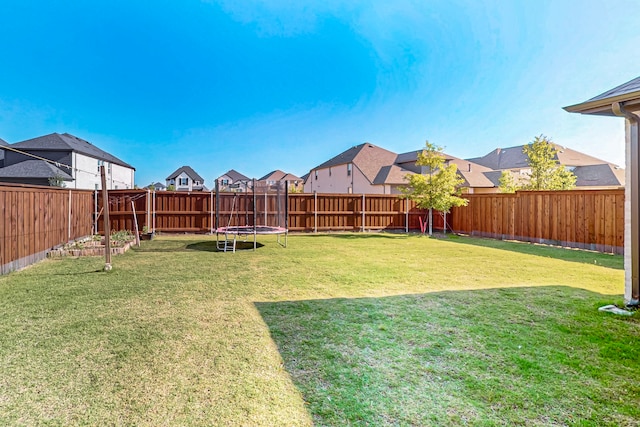 3932 Linear, Celina, TX 75078 - view of yard featuring a residential view and a trampoline
