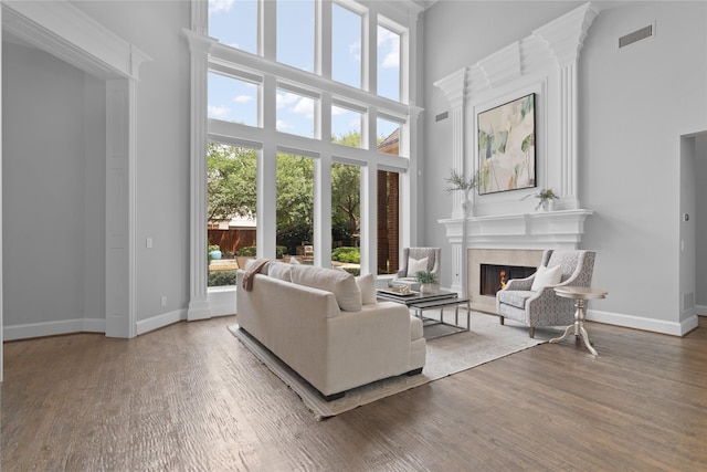 5916 Orchard Park Dr, Frisco, TX 75034 - living area featuring plenty of natural light, a high ceiling, a premium fireplace, and wood finished floors