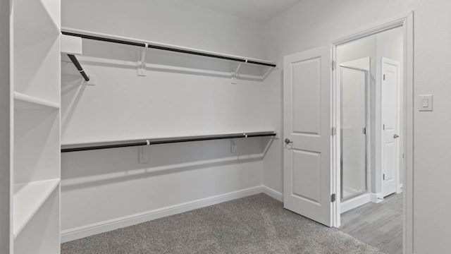 1913 Brindle St, Northlake, TX 76247 - walk in closet with carpet floors