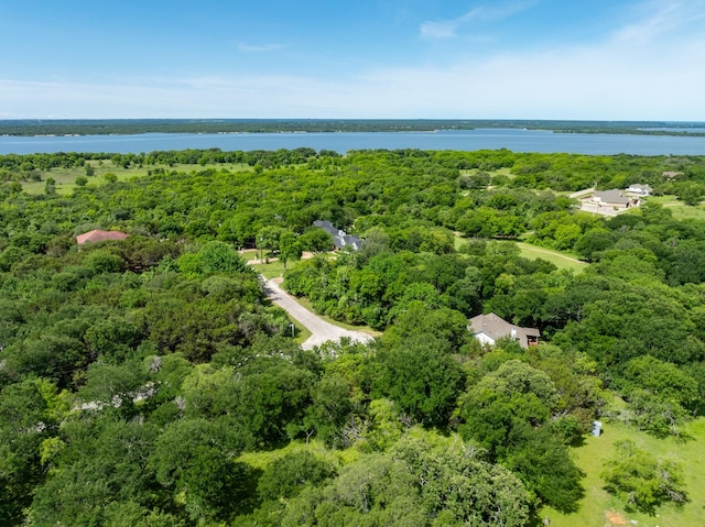 21086 Trailwood Dr, Whitney, TX 76692