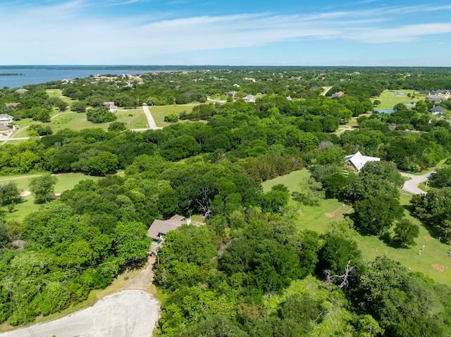 21086 Trailwood Dr, Whitney, TX 76692