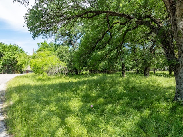21086 Trailwood Dr, Whitney, TX 76692