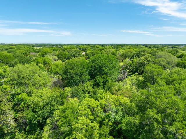 21086 Trailwood Dr, Whitney, TX 76692