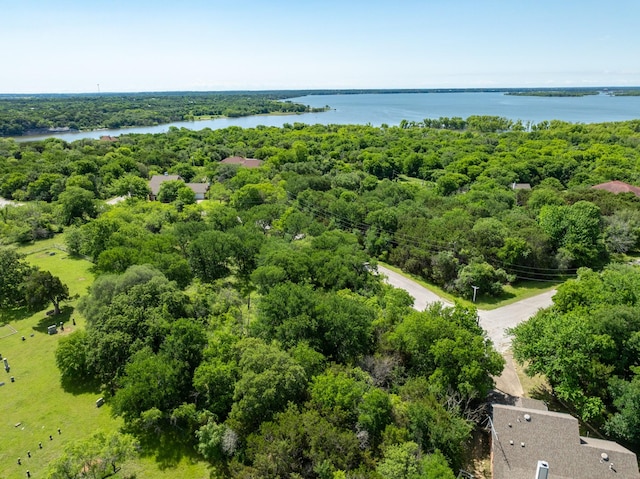 21086 Trailwood Dr, Whitney, TX 76692