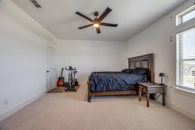 145 Chisolm Trl, Pottsboro, TX 75076 - carpeted bedroom with multiple windows, ceiling fan, and baseboards