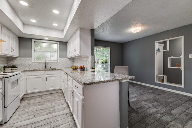 2929 Forest Park Dr, Garland, TX 75040 - kitchen featuring white electric range oven, a sink, a peninsula, healthy amount of natural light, and a textured ceiling