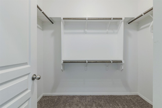7314 Boulder Star Way, Temple, TX 76502 - walk in closet featuring carpet flooring