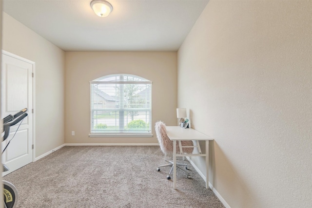 7314 Boulder Star Way, Temple, TX 76502 - home office featuring carpet flooring and baseboards