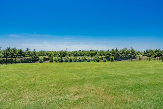 713 Calm Crest Dr, Rockwall, TX 75087 - view of yard