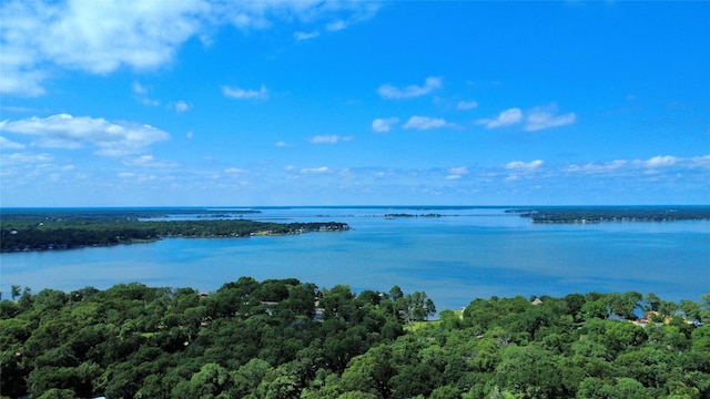 816 Bradleys Bnd, Tool, TX 75143 - water view with a forest