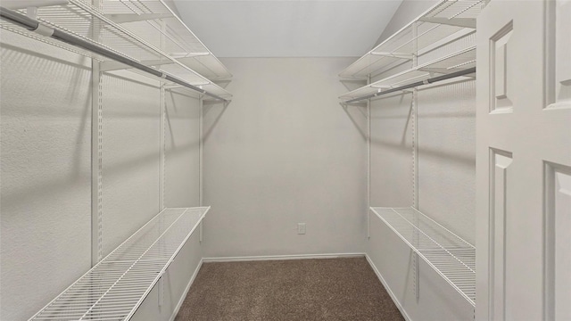 7305 Moon Ridge Ct, Fort Worth, TX 76133 - walk in closet with carpet floors