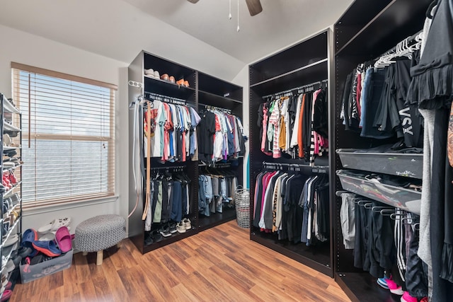 2775 Sweetbriar Ln, Grand Prairie, TX 75052 - walk in closet featuring a ceiling fan and wood finished floors