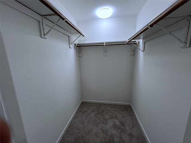 902 Mack Pl, Denton, TX 76209 - spacious closet with carpet