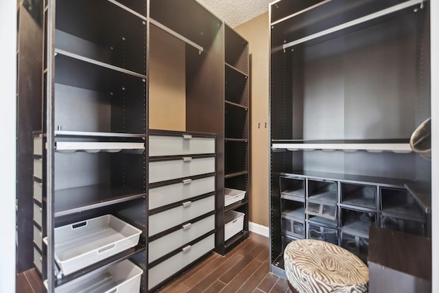 11003 Canoe Rd, Frisco, TX 75035 - walk in closet featuring dark wood-style flooring