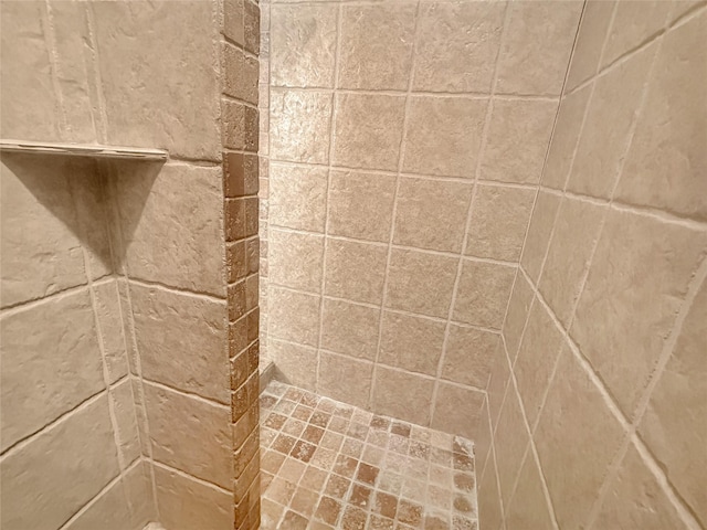 10717 Greenview Ct, Benbrook, TX 76126 - bathroom view of tiled shower