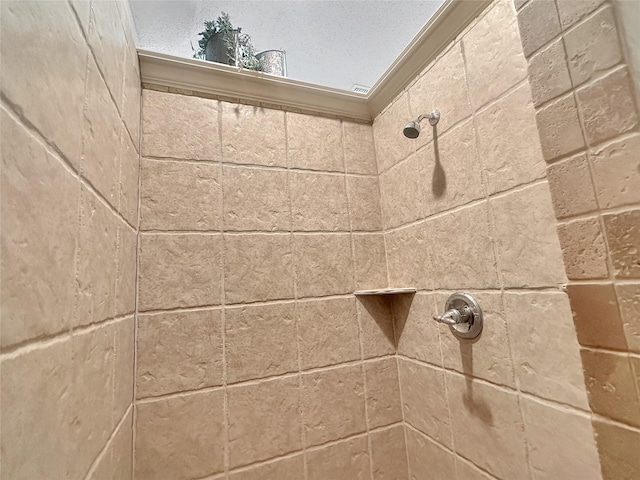 10717 Greenview Ct, Benbrook, TX 76126 - bathroom view of tiled shower