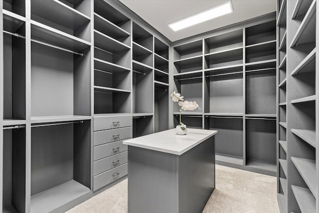 1085 Forest Bend Ct, Cross Roads, TX 76227 - walk in closet with carpet flooring