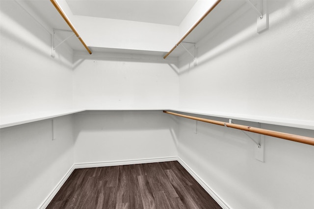 421 E Shepherd St, Denison, TX 75021 - walk in closet featuring dark wood-style flooring